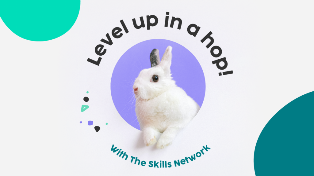 The SkillsNetworkTheTechnophiler
