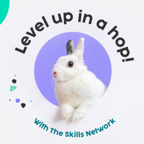The SkillsNetworkTheTechnophiler