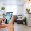 SmartSystemTheTechnophiler