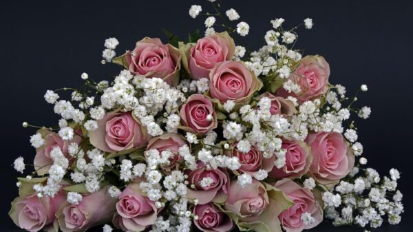 Flowers have long been a timeless way to express emotions, celebrate milestones, and brighten someone’s day. Flower Station has built its reputation as a trusted destination for beautifully crafted floral arrangements, offering fresh bouquets, gift sets, and reliable delivery services across the UK.