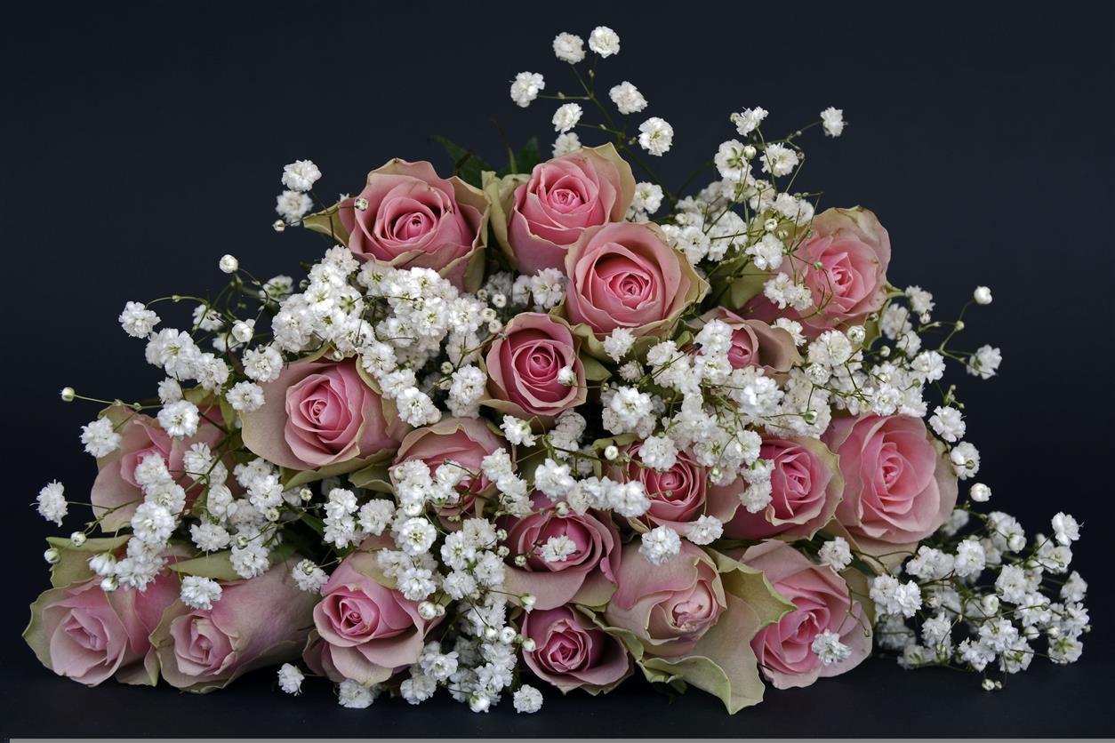 Flowers have long been a timeless way to express emotions, celebrate milestones, and brighten someone’s day. Flower Station has built its reputation as a trusted destination for beautifully crafted floral arrangements, offering fresh bouquets, gift sets, and reliable delivery services across the UK.