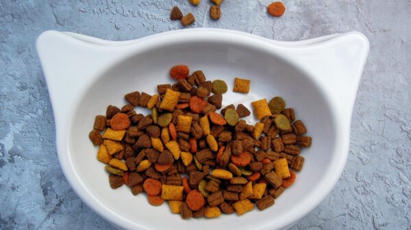 In a world where pet owners are increasingly conscious about what goes into their companions’ bowls, AATU Pet Food stands out as a brand committed to purity, quality, and uncompromising nutrition. With a philosophy rooted in simplicity and excellence, AATU has earned its reputation as a master of pure nutrition delivering high-meat, grain-free recipes that support healthier, happier pets.