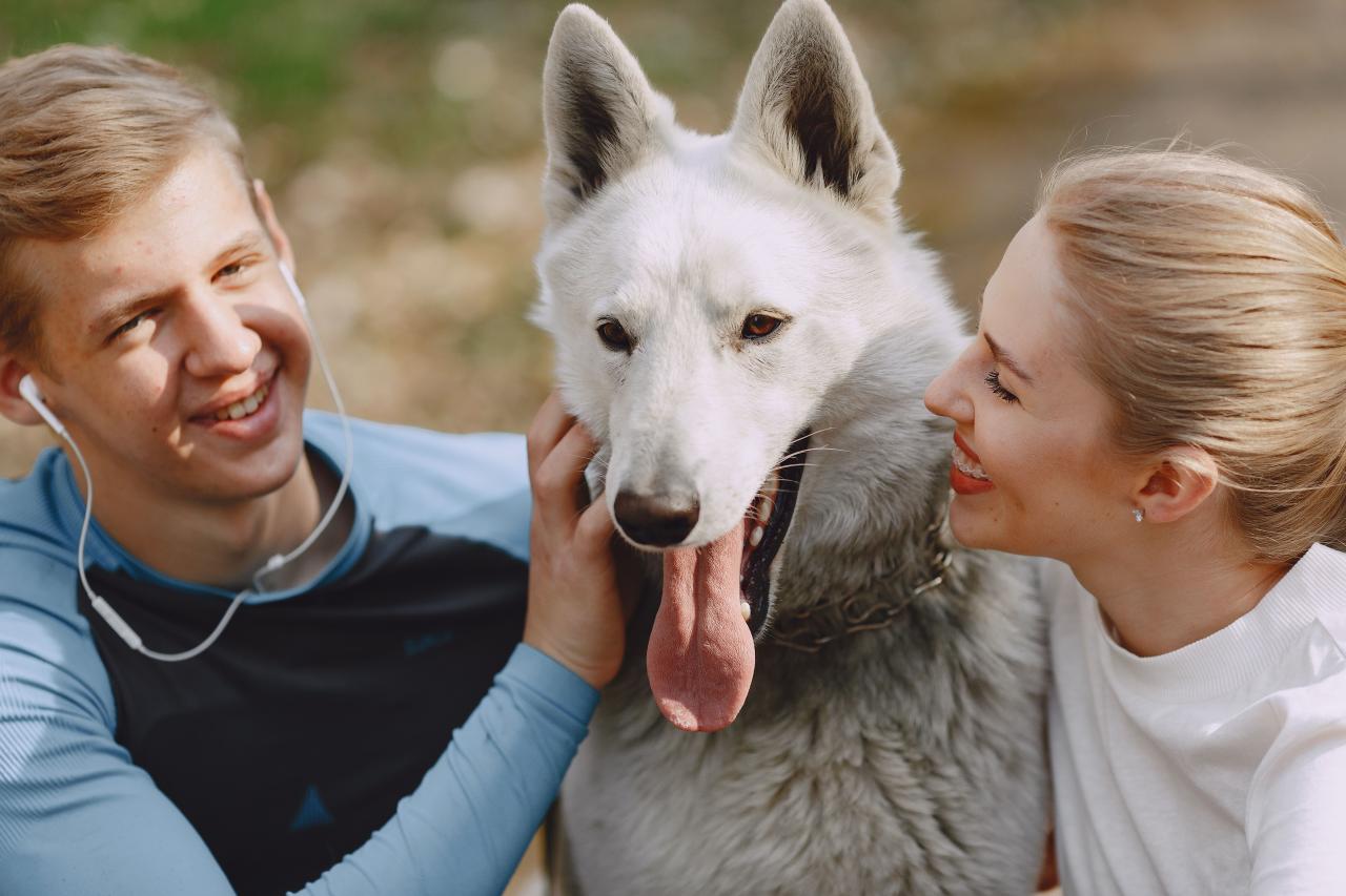 People With Pet Photos, Download The BEST Free People With Pet Stock Photos & HD Images