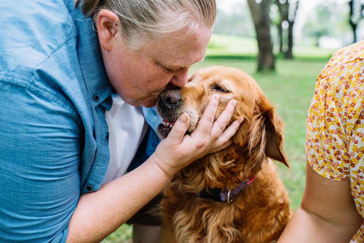 People Holding their Dogs · Free Stock Photo